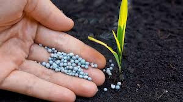 قیمت کود غیرشیمیایی درجه یک + خرید باور نکردنی